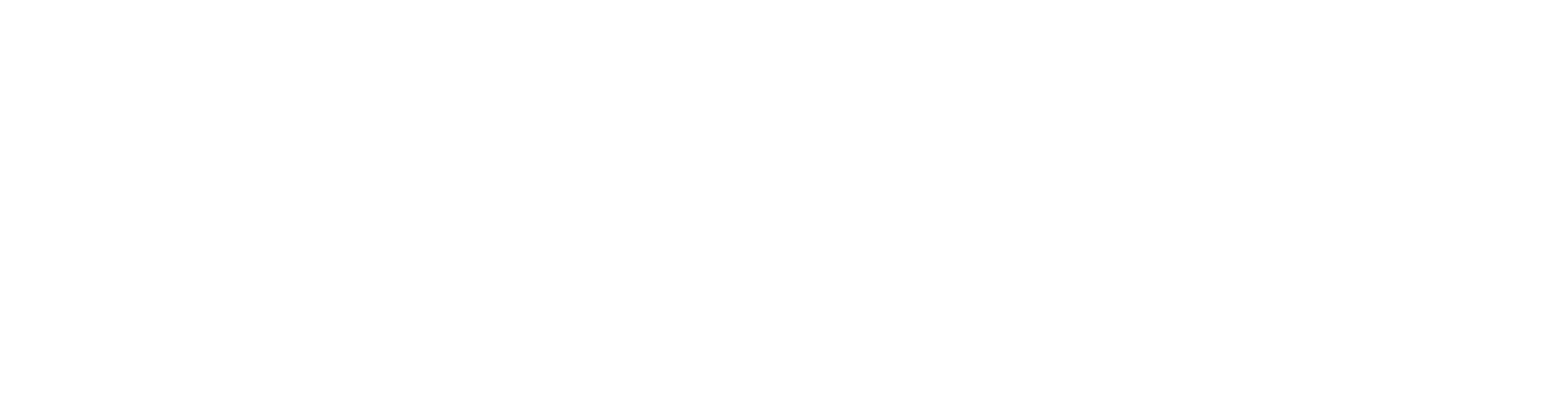 Neeta's Fashion Logo